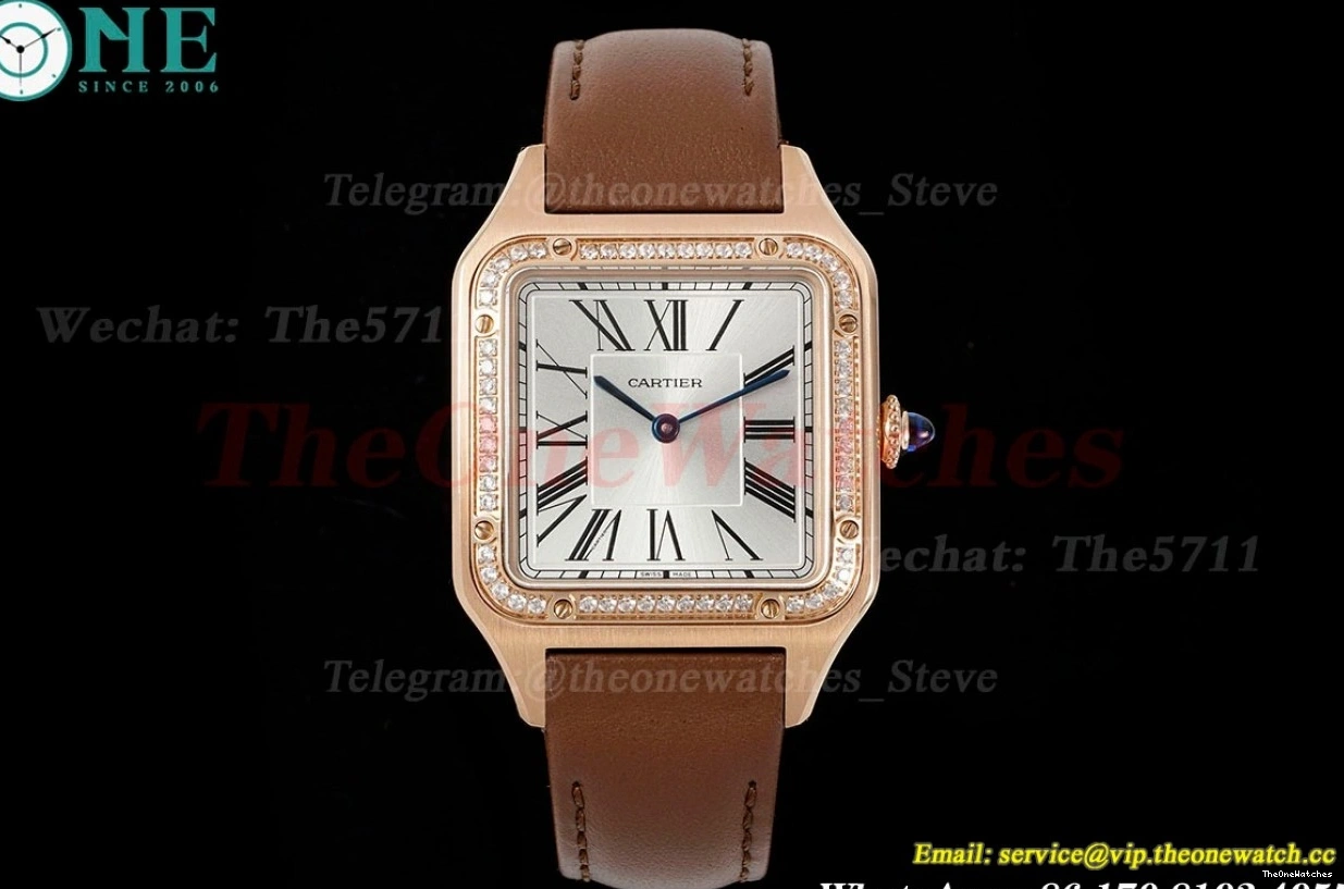 Dumont Dial Silver Brown Santos Quartz LE RG AF Dia 0313